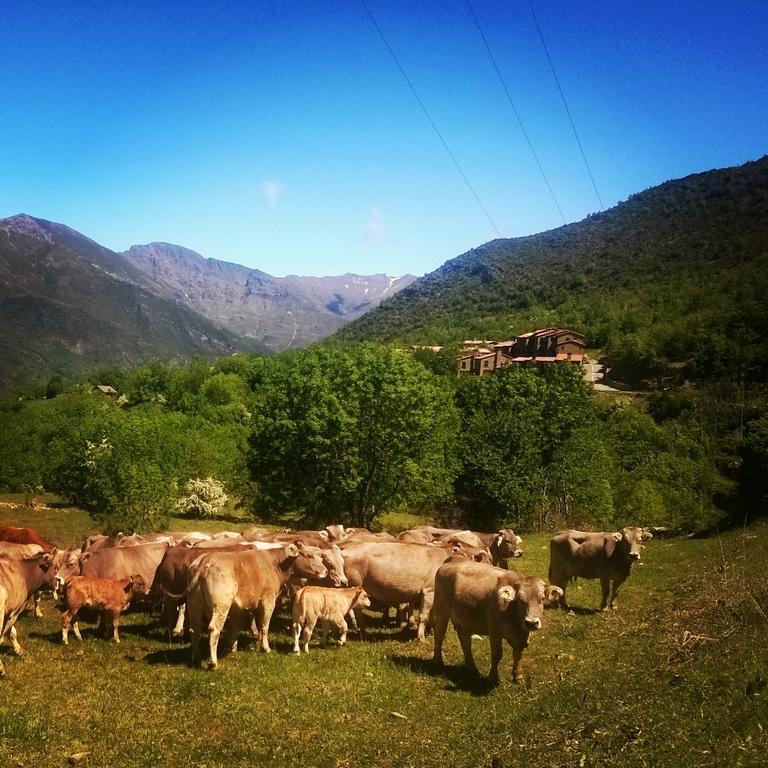La Faiada Daire El Pont de Suert Dış mekan fotoğraf