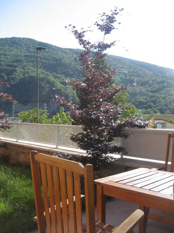 La Faiada Daire El Pont de Suert Oda fotoğraf