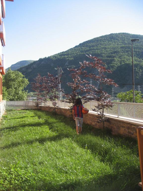 La Faiada Daire El Pont de Suert Oda fotoğraf