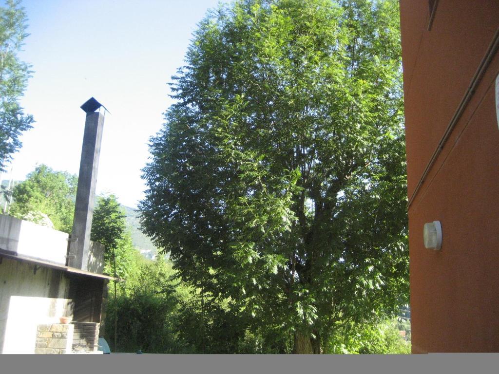 La Faiada Daire El Pont de Suert Oda fotoğraf